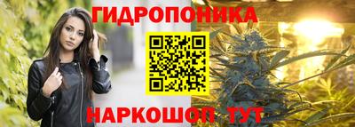 прущие грибы Дубна