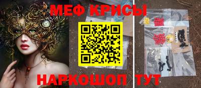 прущие грибы Дубна