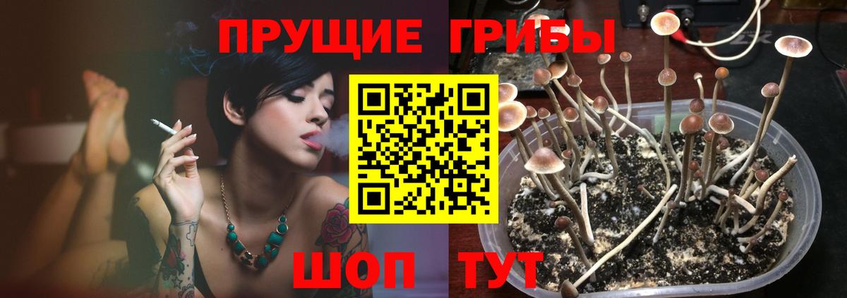 Галлюциногенные грибы мицелий  Вход с VPN  Каменка 