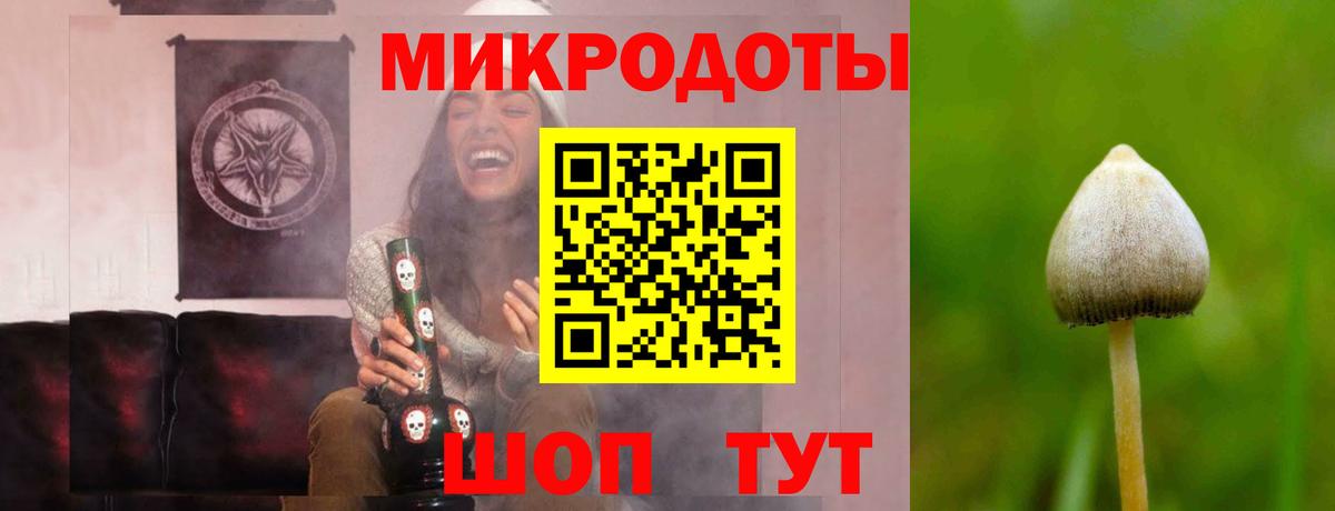 Галлюциногенные грибы мицелий Каменка